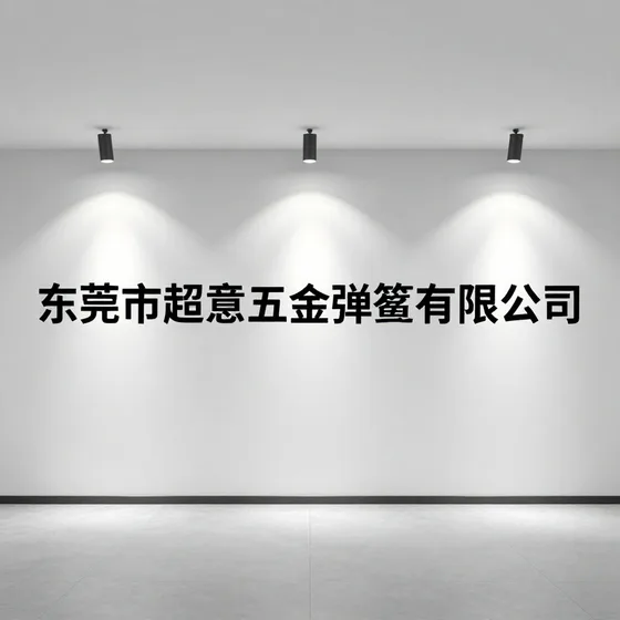 东莞市超意五金弹簧有限公司